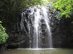 CairnsTC412 Tablelands